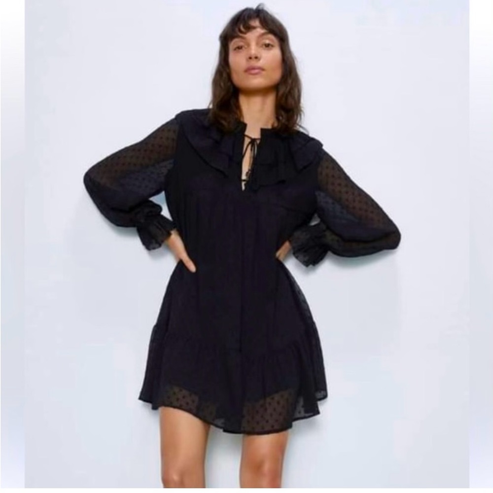 ZARA Dotted Mesh Mini Black Dress 6895/050/800